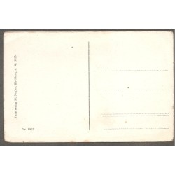AK - Raabs a. d. Thaya 1925