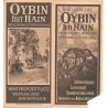 Prospekt Oybin mit Hain