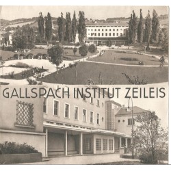 Prospekt Gallspach Institut Zeileis