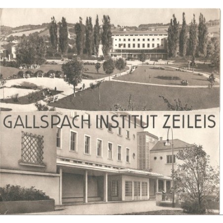 Prospekt Gallspach Institut Zeileis