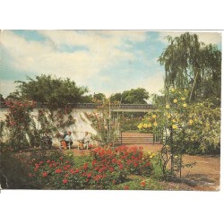 AK - Hamburg - Gartenbau-Ausstellung Nr. 709 (HH)