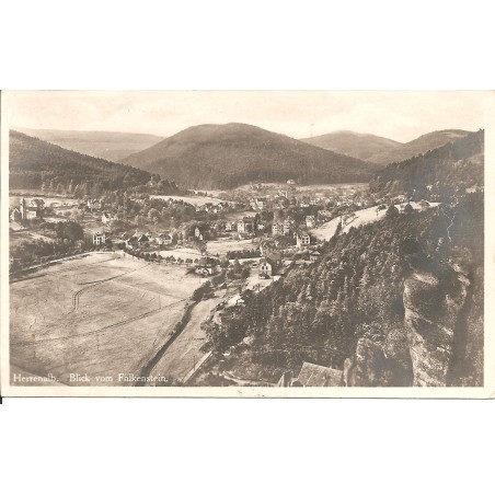 AK - Herrenalb - Blick vom Falkenstein
