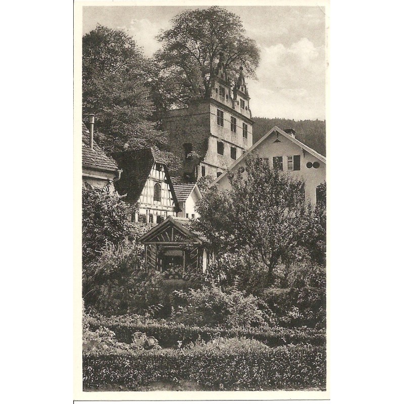 AK - Hirsau - Schloßruine mit Ulme