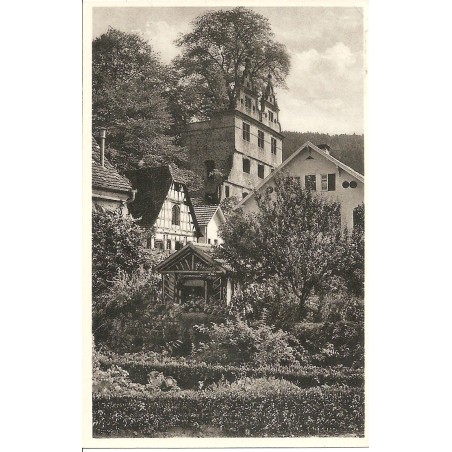 AK - Hirsau - Schloßruine mit Ulme