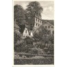 AK - Hirsau - Schloßruine mit Ulme