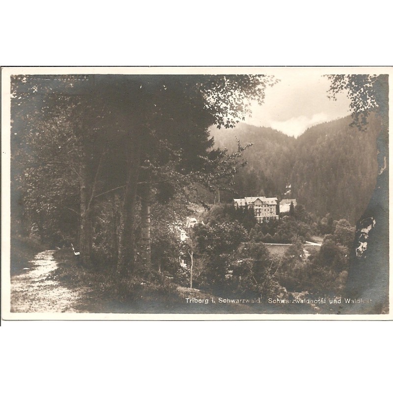 AK - Triberg i. Schwarzwald - Schwarzwaldhotel (BW)