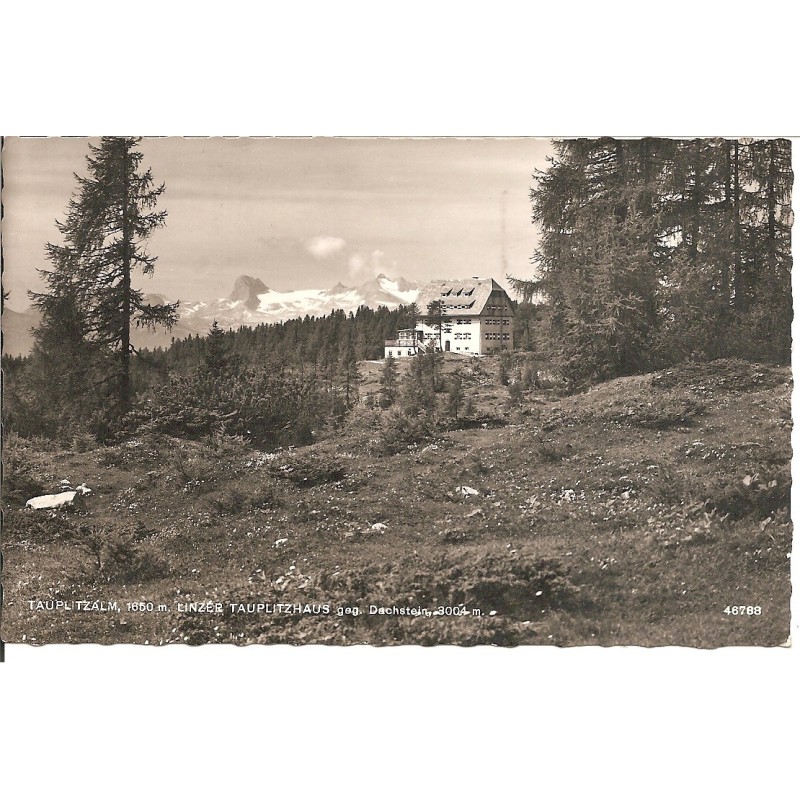 AK - Tauplitzalm - Linzer Tauplitzhaus geg. Dachstein