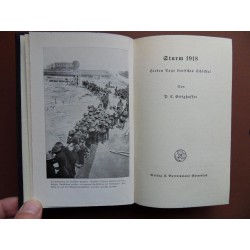 P. C. Ettighofer - Sturm 1918 - Sieben Tage deutsches Schicksal